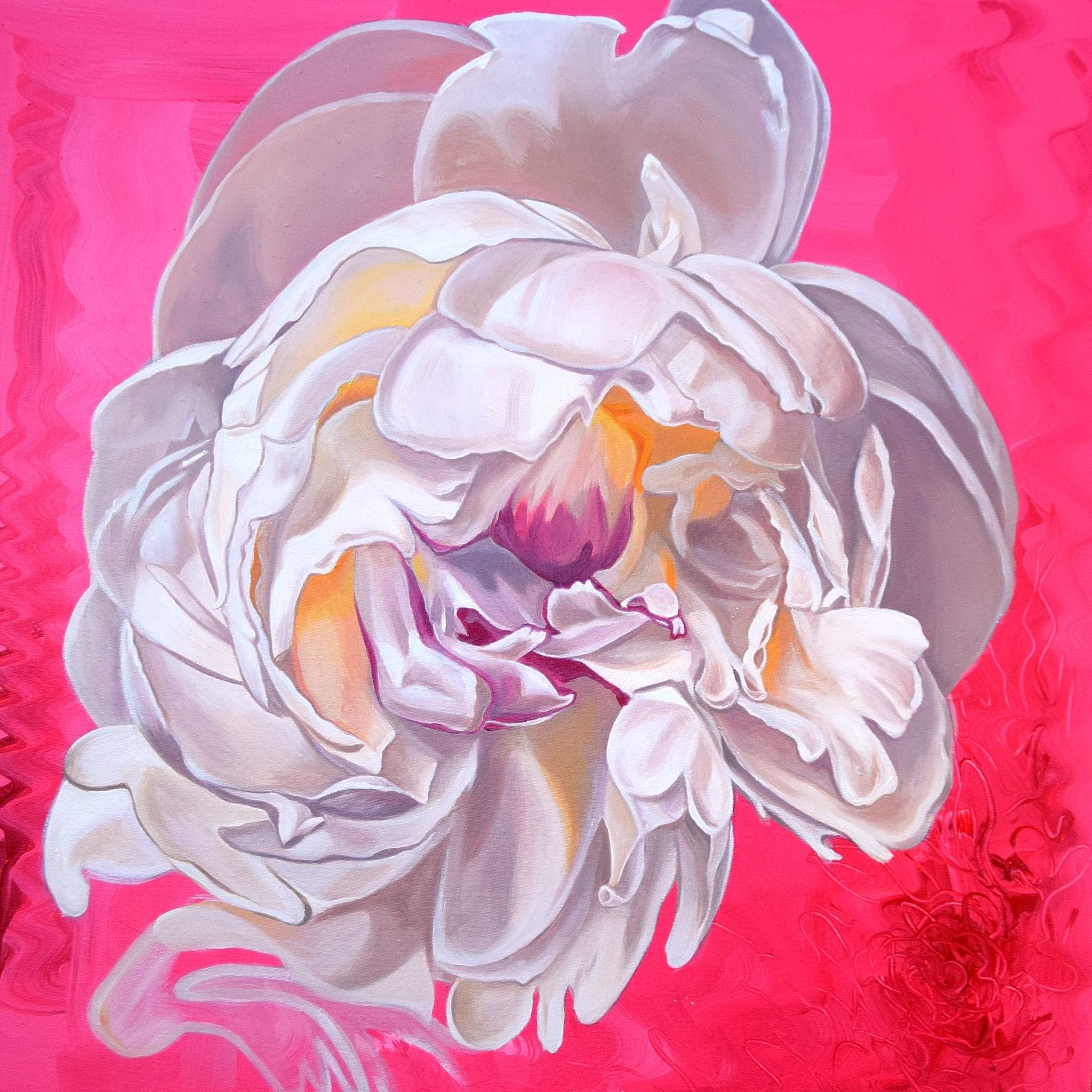 Blooming peony